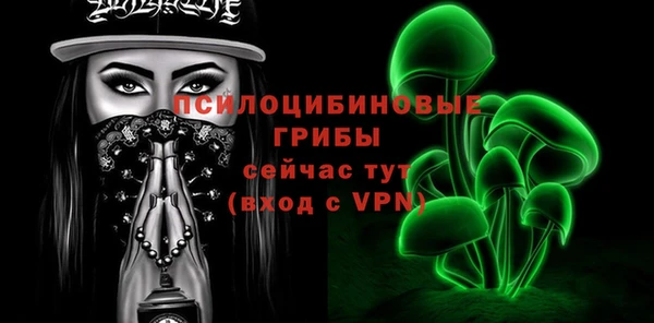 прущая мука Алзамай
