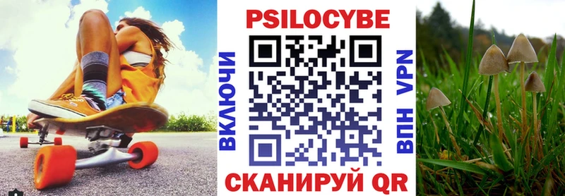 Псилоцибиновые грибы GOLDEN TEACHER Дзержинск