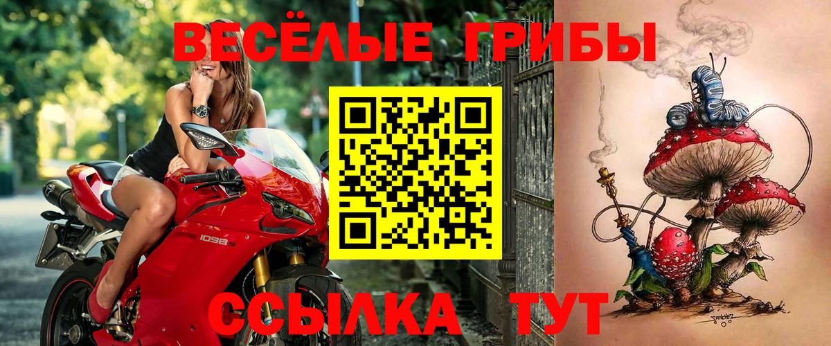 закладки  Вход с VPN  Галлюциногенные грибы GOLDEN TEACHER  Дзержинск  Галлюциногенные грибы MAGIC MUSHROOMS 