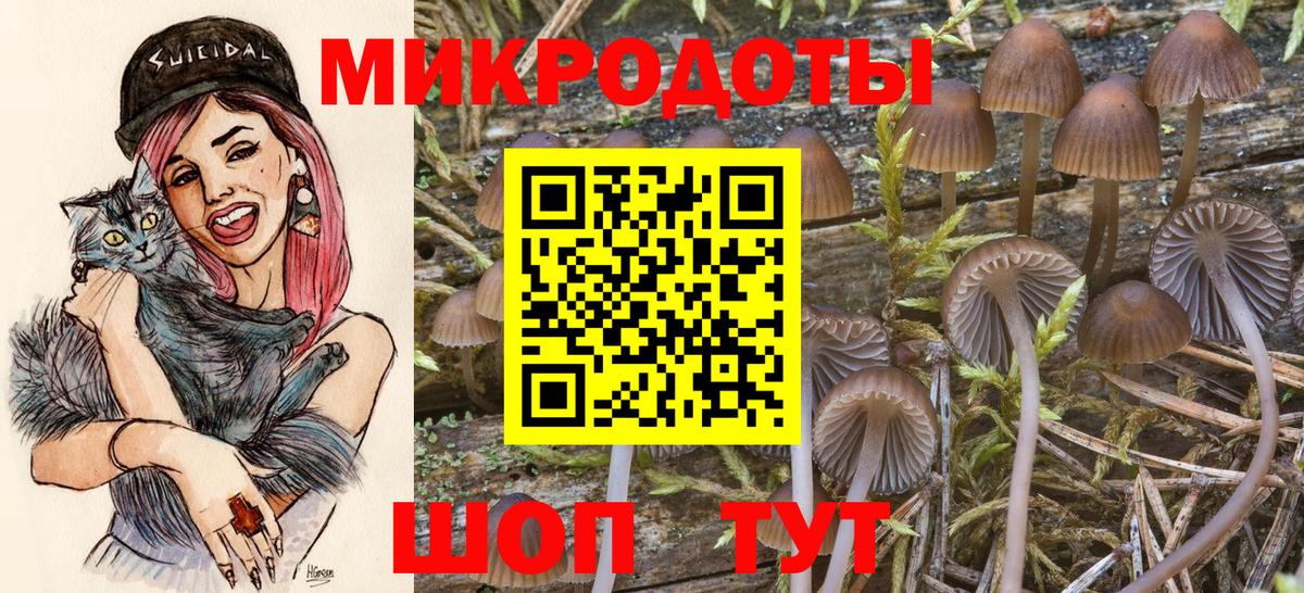 Галлюциногенные грибы прущие грибы Дзержинск